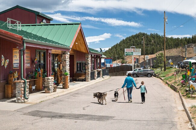 Discover local restaurants and shops along US Hwy 285 in Pine Junction Area.