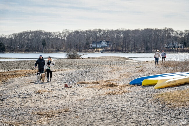 Explore new adventures at Bissell Cove in Cold Spring Beach, with your furry friend and enjoy canoe activities.
