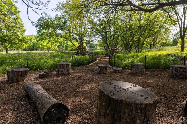These tree stomps are marked compasses at Welles Park in Ravenswood, Chicago, IL.