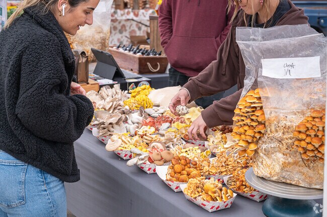 Near East Birmingham you have pepper place where you can buy fresh home grown produce.