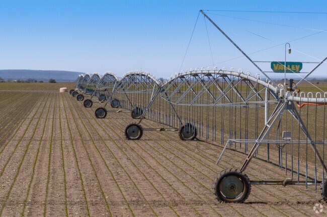 With irrigation, Uvalde can grow spinach, potatoes, cabbage, onions, and other crops all year.