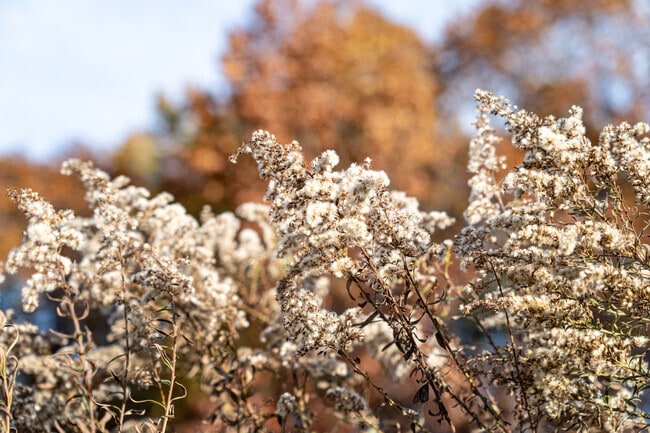Natural beauty is everywhere in Hartsdale.
