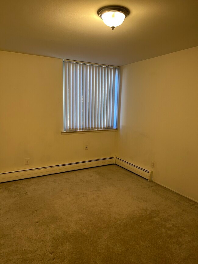 Carpeted flooring