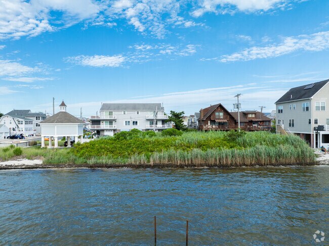 Reeds and banks are often the last line of defense against flooding in Seaside Heights.