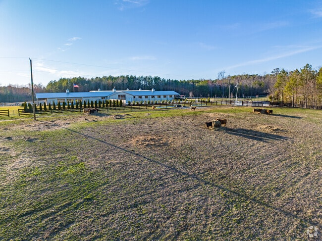 Enjoy watching cattle graze at The Outlook at Saddle Ridge in South Chesterfield County.