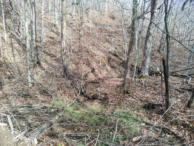 362 Ester Spur Rd, Waynesburg, KY 40489 - photo 5