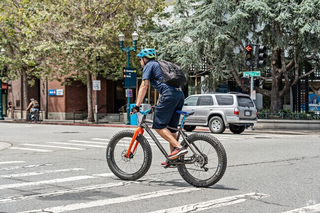 Biking through Upper Seabright offers a blend of urban adventure and coastal tranquility.