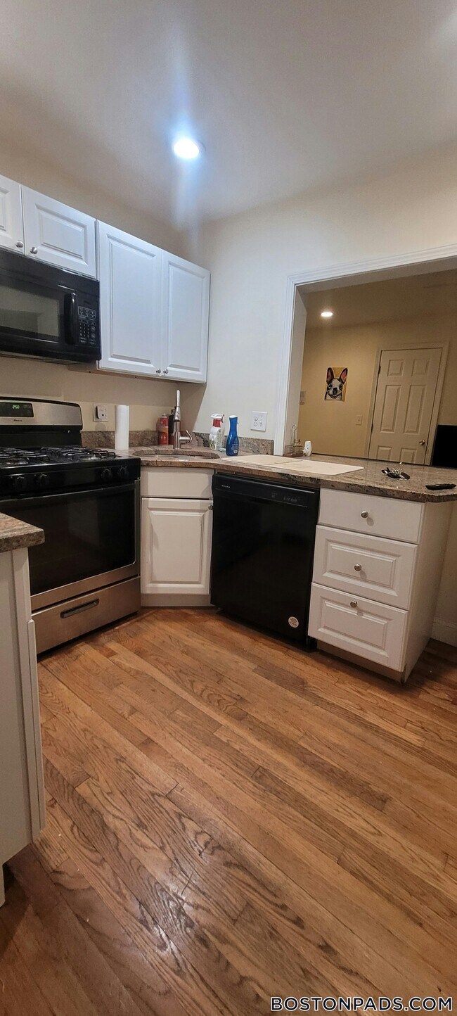 62 Egmont St unit 3, Brookline, MA 02446 - photo 6