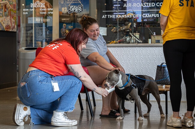 Rosterie is a coffee show that is located at KC Pet Project near Foxtown East.