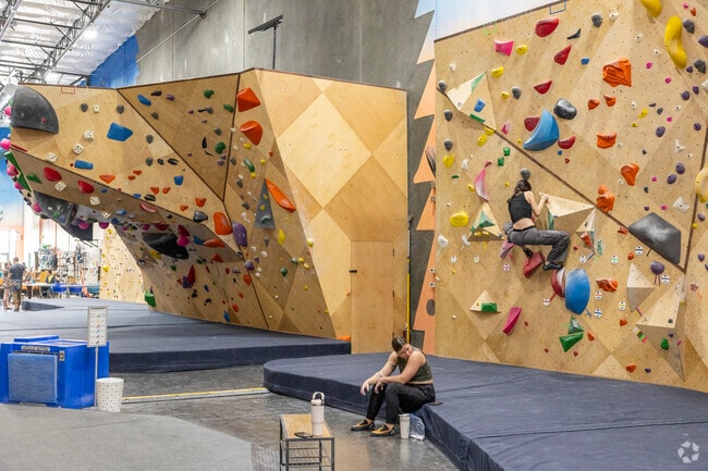 Challenge yourself to get to the top at Gecko Climbing Gym near North Deer Valley.