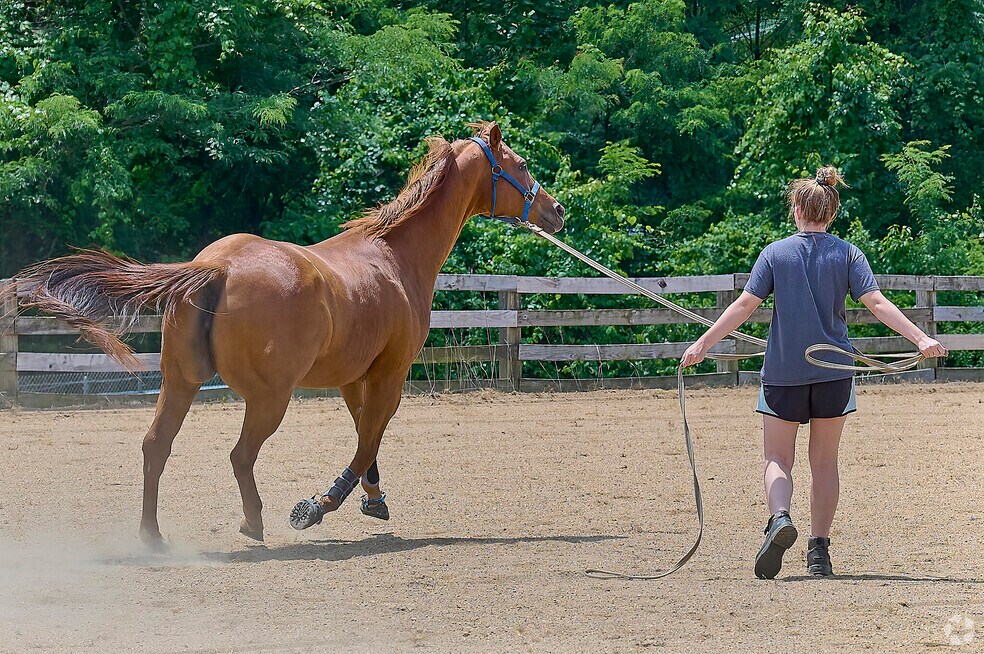 Neighborhood_SudleySprings_HK_V002_022124