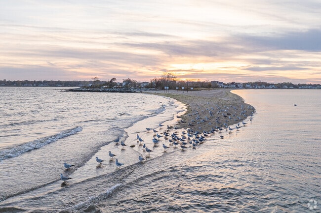 In Warwick, there are plenty of beaches, parks and forests to explore and enjoy.