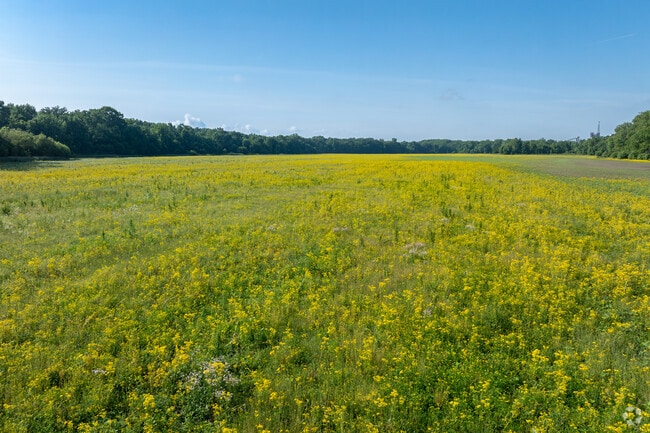 Tecumseh has natural flowers in wide open spaces near the Wabash River.