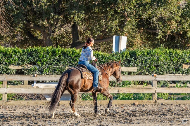 Coto de Caza's equestrian culture can be found at the Coto Equestrian Preserve.