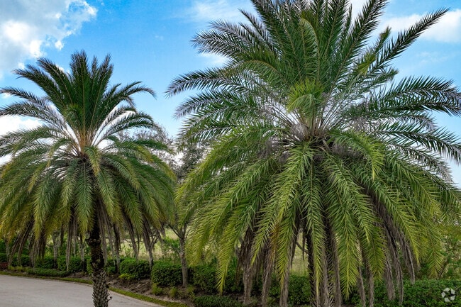 Alabama offers affordable inland living with access to Southwest Florida’s natural beauty.