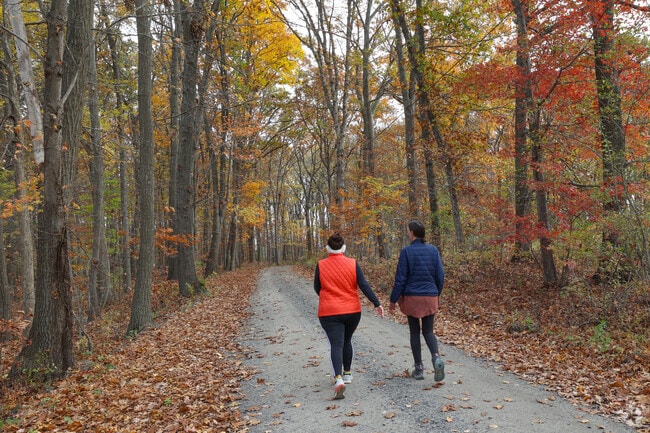Rough Meadows provides endless trails to explore in Rowley.