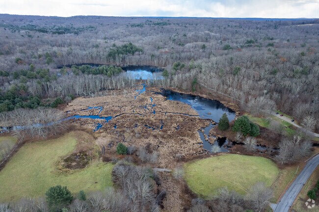 Willington residents enjoy hiking over 4 miles of trails in Fenton Ruby Park.