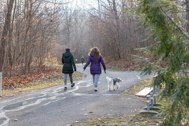 Beaver Creek Reservation is an ideal place for Amherst residents to go for a long walk in nature..