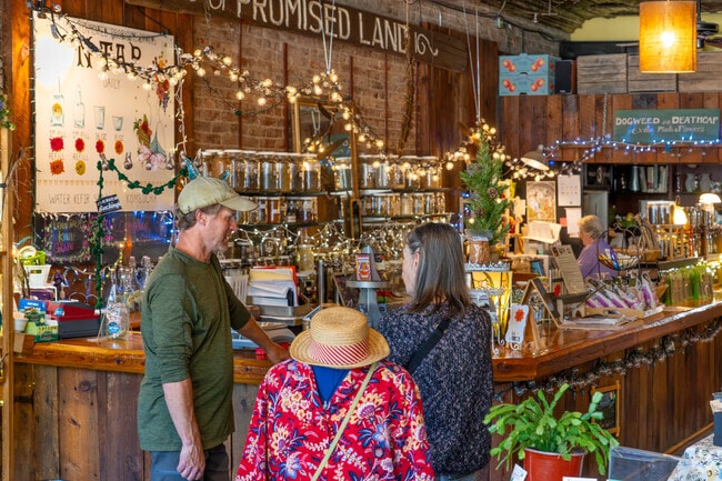 From krauts to kombucha Savor the taste of tradition at Farmstead Ferment in Scottsville, VA