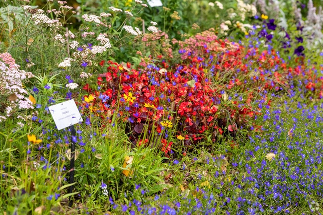Basher features the Alaska Botanical Garden.