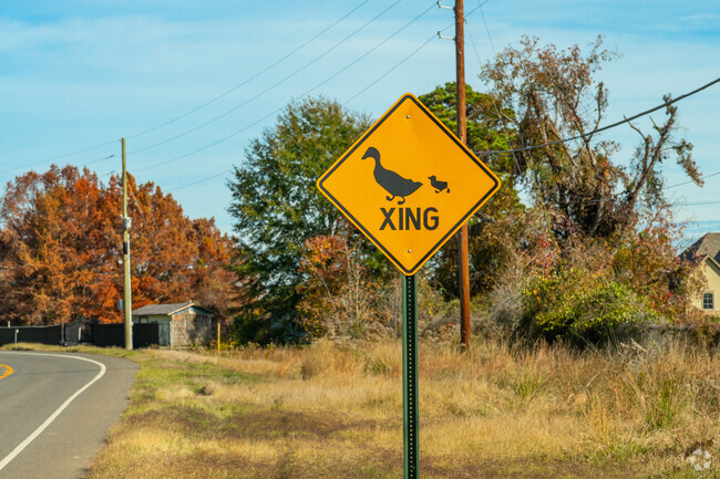 Residents must look out for crossing wildlife while driving through Lakeshore.