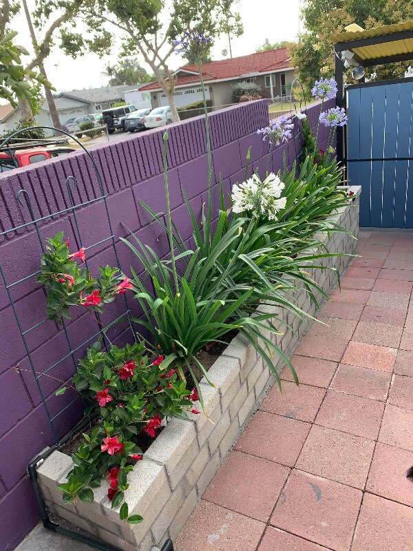 15247 Binney St unit 15247 1/2, Hacienda Heights, CA 91745 - photo 2