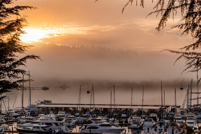 Early morning sun cuts through the fog on the quiet harbor of Gig Harbor North.