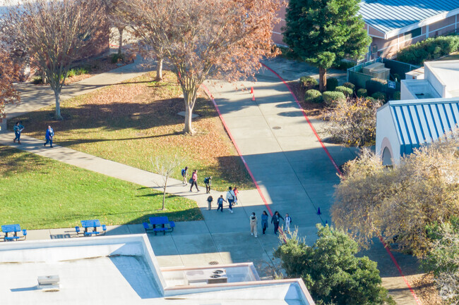 The student teacher ratio at Elitha Donner Elementary School is 24 to 1.