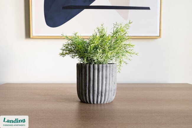 404 W 26th St unit 5108, Charlotte, NC 28206 - photo 5