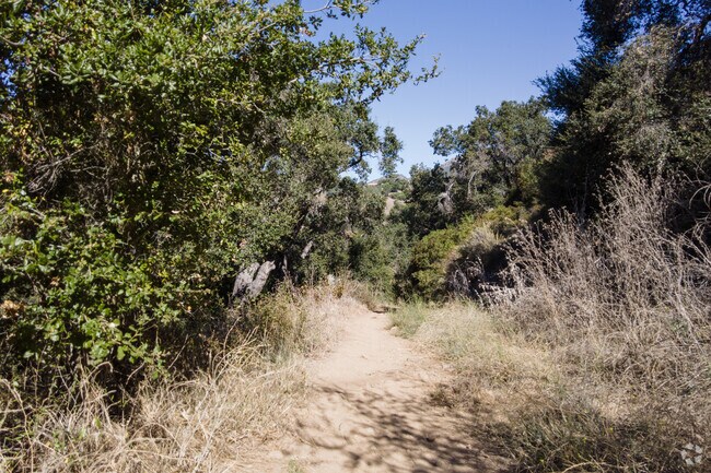There are multiple trails along the Jesusita Trail in Foothill.