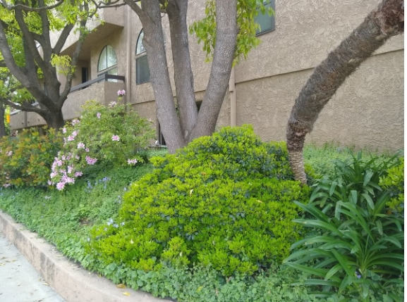 building gardens