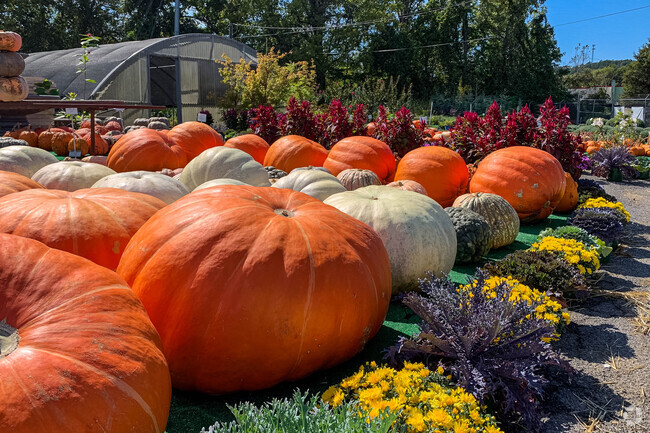 Seymour residents can get some of their local produce and plants from McMahan Plants.
