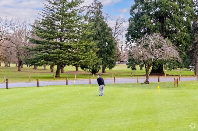 A golfer enjoys the Rose City Golf Club course in Madison South.
