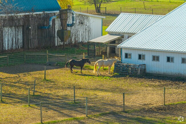 Fort Wayne's Hacienda Village is far enough outside the city that you see horses.
