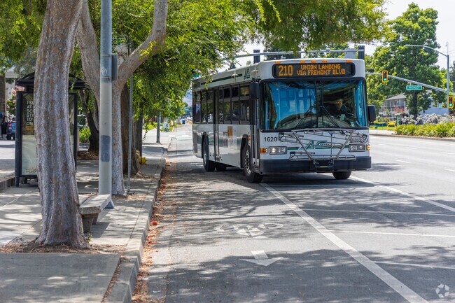Cabrillo residents can easily access AC Transit bus lines.