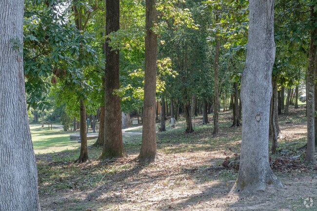 Dr. William Green Lee Camelia Garden is in Shirley Hills Historic District and offers shade.