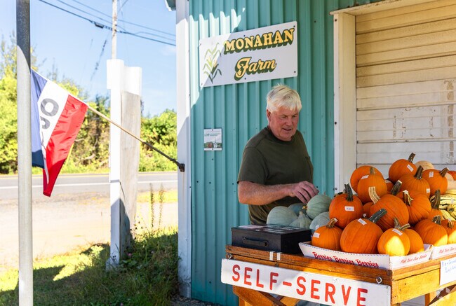 Local produce can be found at farmer's stands.