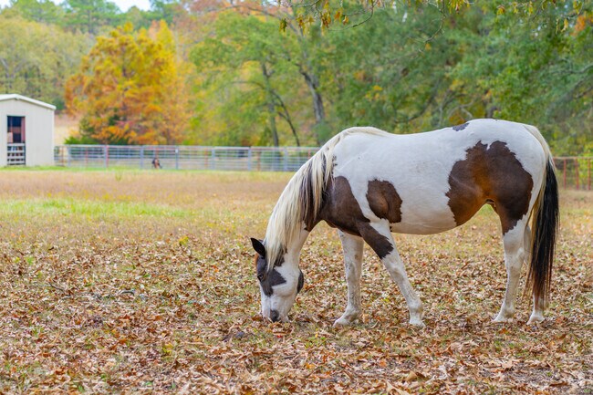 Oak Grove is home to small farms and stables.