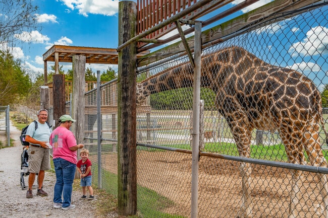 Park Hill is a 10-minute drive from Tupelo Buffalo Park & Zoo.