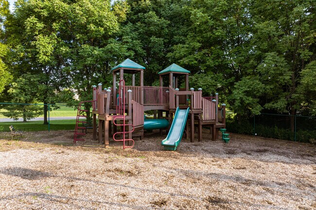 This playground shows the various activities in Westminster Christian Academy for students.