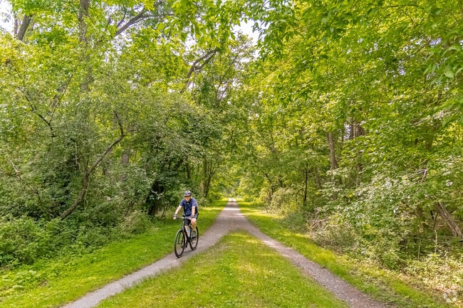 Winding through Kingwood’s forest trails by bike is an easy way to get your exercise in.