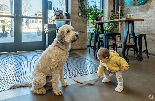 The dog-friendly Simple Merchant Coffee in Newport is a great spot to enjoy an espresso.