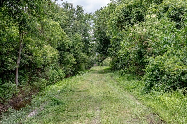 Green walking paths are available in Arabi.