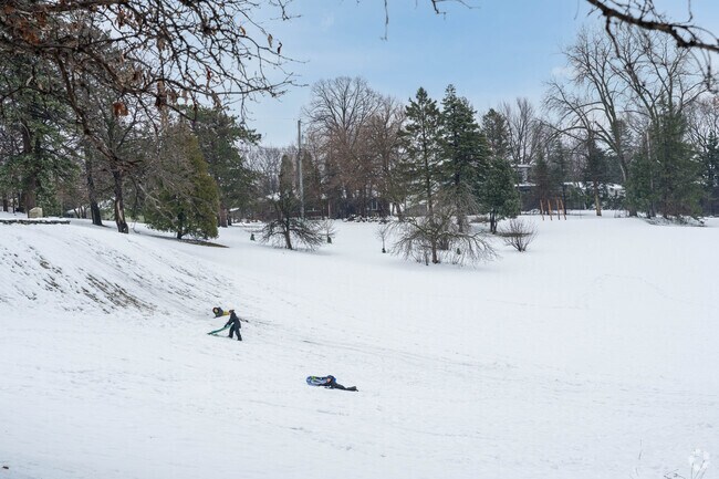 Arneson Acres Park has a hill for sledding.