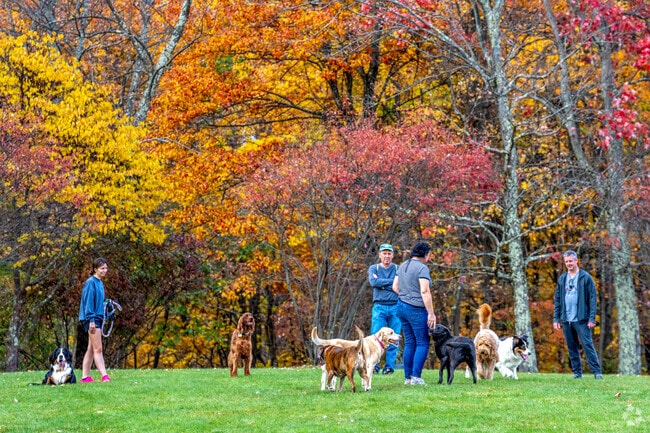 Bring your dog for fun in Sewickley Heights Borough Park, just outside Bell Acres.