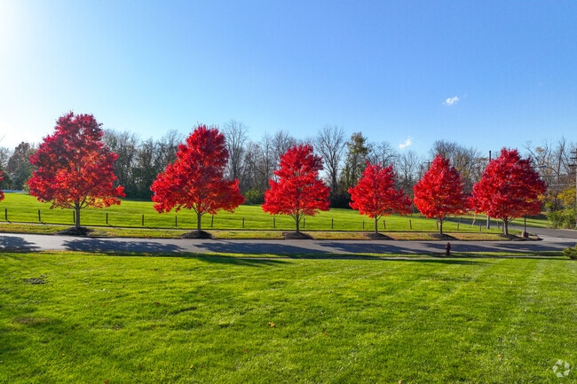 Mount Carmel's trees turn vibrant colors in the fall.