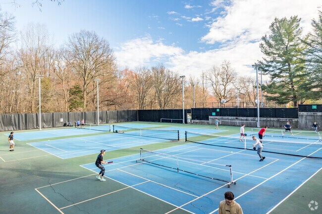 Experience the fun of pickleball against the backdrop of Rock Spring at Glebe Road Park.
