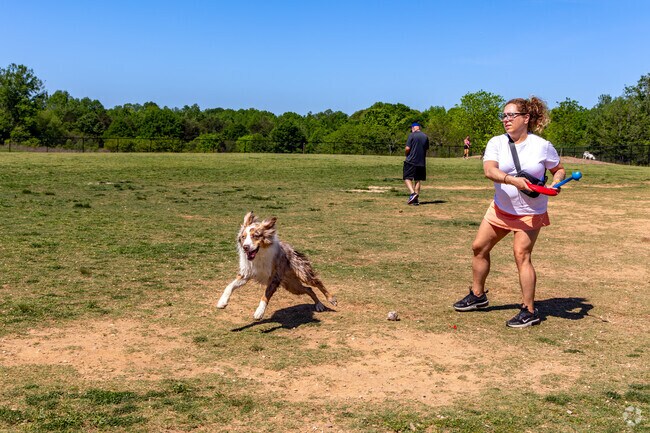 Your four legged friends will love the dog park at Renaissance Park.