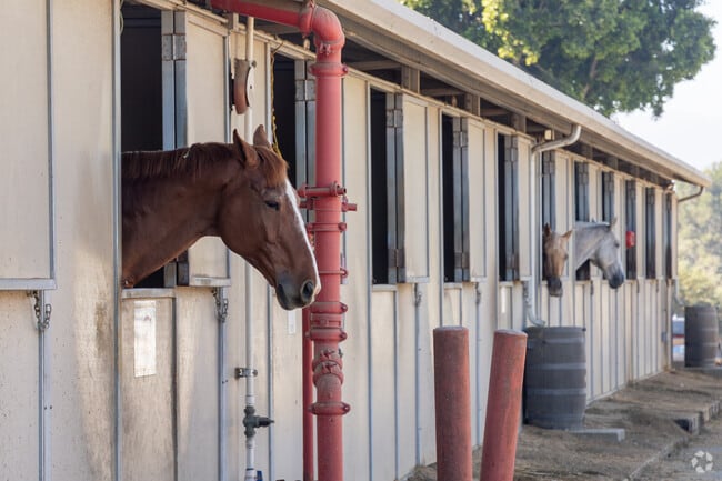 Rolling Hills Estates has a number of stables with the Peter Weber Equestrian Center one of the largest.