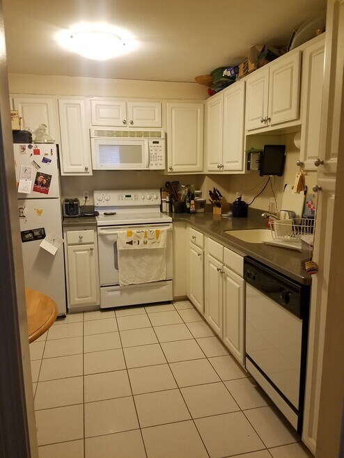 329 Harvard St unit 10, Cambridge, MA 02139 - photo 1